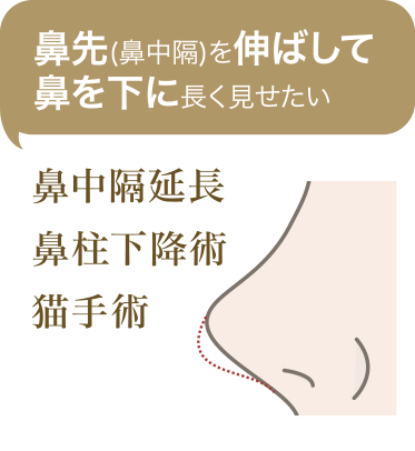 鼻先（鼻中隔）を伸ばして鼻を下に長く見せたい