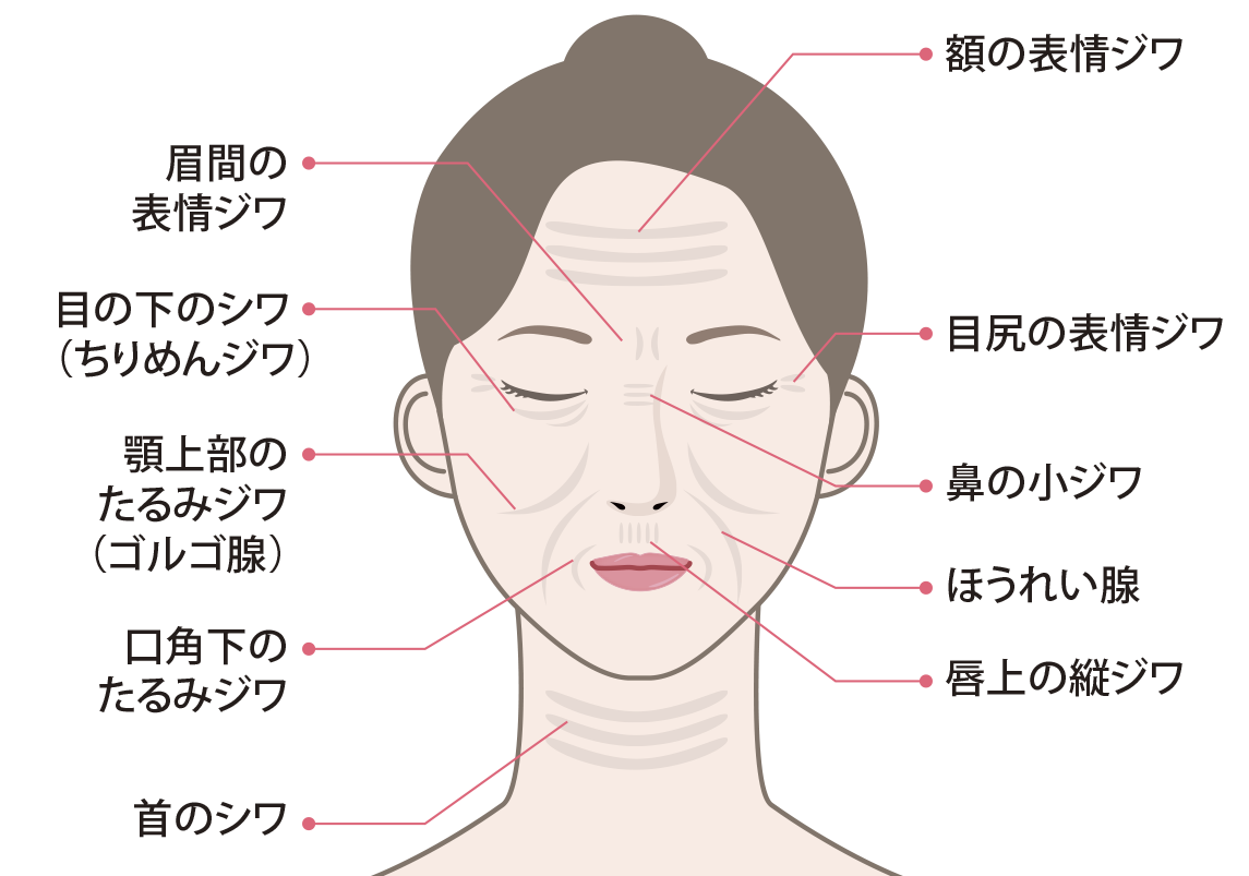 しわ・たるみ